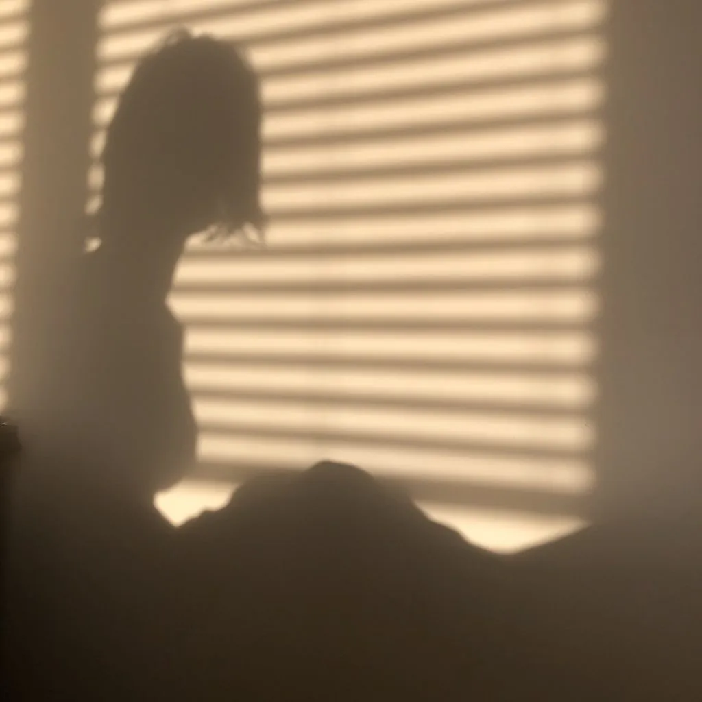 A woman's shadow is shown against a wall, there are horizontal shadows from blinds.